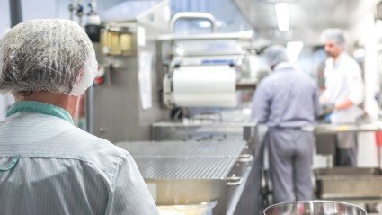 Nieuwe hbo opleiding Food